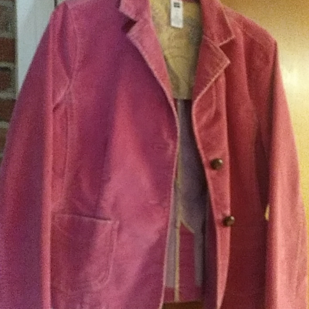 Gap blazer